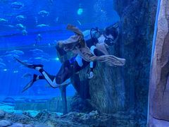 -华夏文旅海洋公园