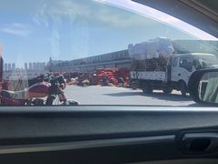 -大连果菜批发市场