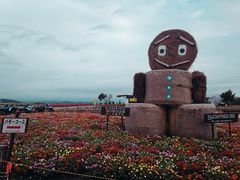 -富田农场