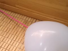 -管氏翅吧(国展店)