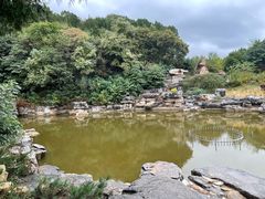 -北京西山国家森林公园