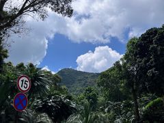 -深圳仙湖植物园