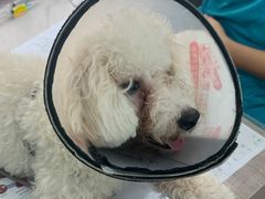 -荔康动物医院(康王北路店)