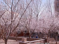 -天津东丽湖风景区