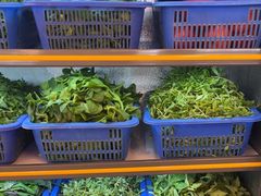 -老味道1992(武当山店)