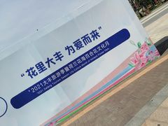 -荷兰花海