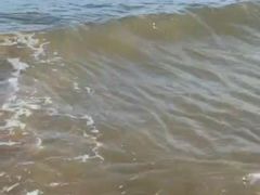 -碣石国家级海洋公园