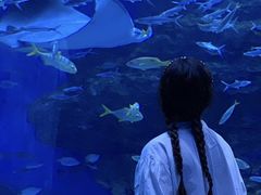 -海合安成都极地海洋公园