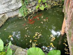 -观澜山水田园