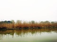 -长兴太湖图影湿地文化园
