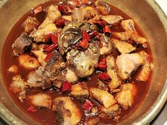 -涿派·炝锅鱼(涿州店)