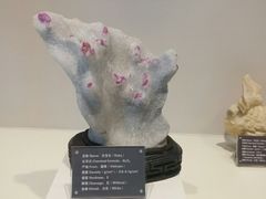 -房山世界地质公园博物馆