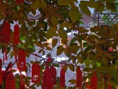 -重庆十八梯传统风貌区