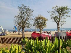 -大梅沙海滨公园