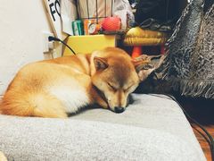 -About Bistro關於·泰式家庭料理