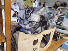 -小时光咖啡馆(北锣鼓巷店)