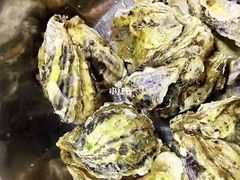 扇贝&nbsp;生耗-宾朋海鲜美食特色餐厅·纯手工鲅鱼水饺(兴海路店)