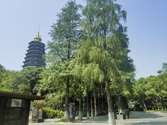 -红梅公园