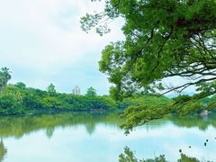 -江心屿景区