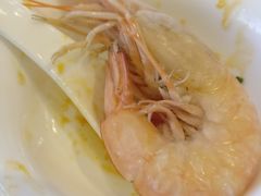 -欢乐海岸美食联盟