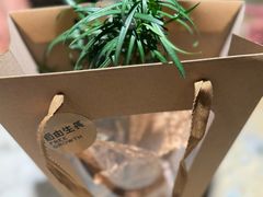 -自由生长植物工作室(深港花卉中心店)