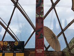 -怀托摩萤火虫洞