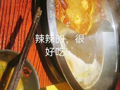 -谭鸭血老火锅(远大购物广场店)