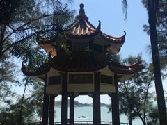 -宋井风景区