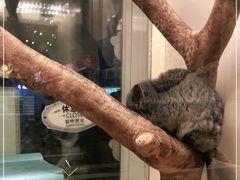 -龙猫仔乐园(惠福东路店)