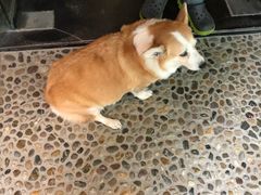-茶米人台湾料理·精致快简餐