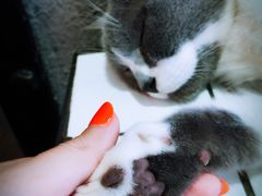 -MIKAKU(万达广场上海宝山店)