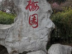 -重庆彩云湖湿地公园