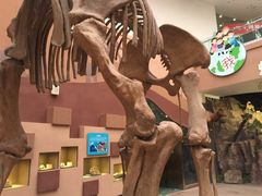 -陕西自然博物馆