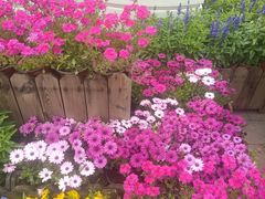 -北京植物园南门售票处