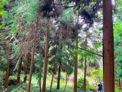 -梭布垭石林景区