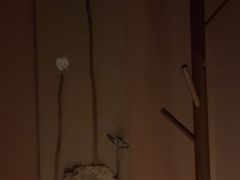 -泰·菩提树下[泰式按摩x精油SPAx肩颈头疗](新景店)
