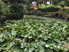 -团城山公园