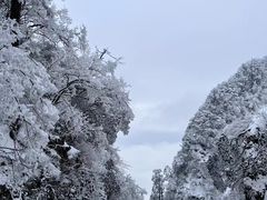 -峨眉山风景名胜区