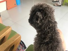 -惠康宠物医院(华能路店)