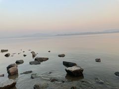 -深圳湾公园(南山区)