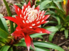 -北京植物园-展览温室