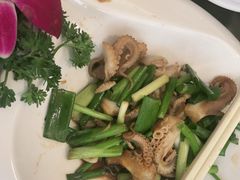 -中苑海韵