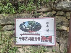 -少华山国家森林公园