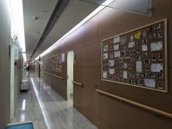 点击看大图 -上海首尔丽格医疗美容医院