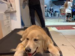 门面-大档(荔湾店)