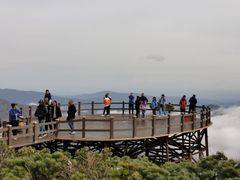-凤凰山国家森林公园