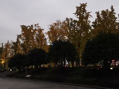 -百林公园-两江幸福广场