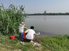 -灞河西岸滨河公园