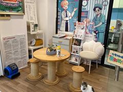 -哆趣宠物医院·眼科·内镜·急重症转诊中心(上海店)