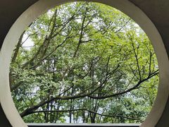 -重庆平顶山公园